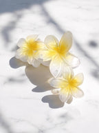 haarclip blume